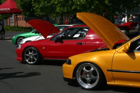 152-img_4724.jpg.medium.jpeg